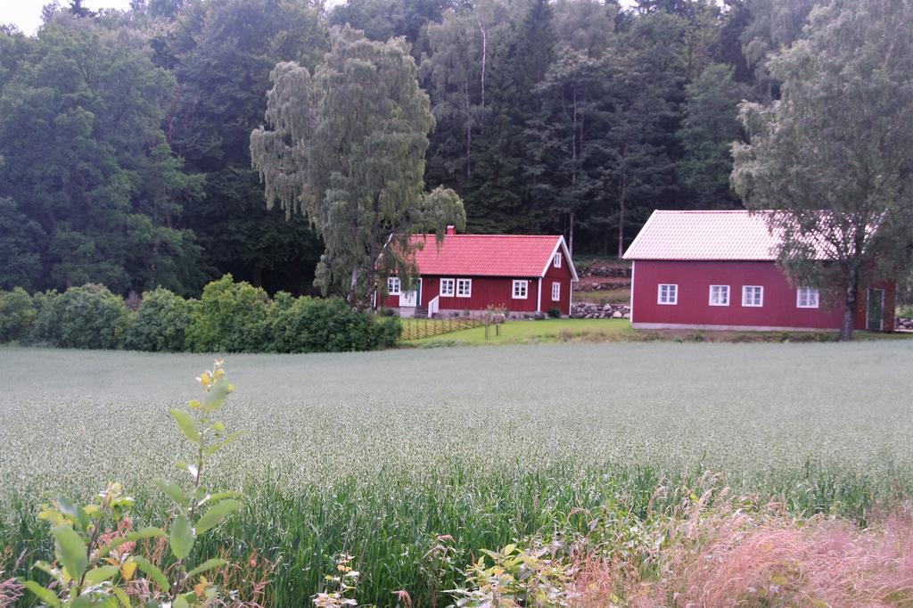 Wraen Svartrå Exterior foto